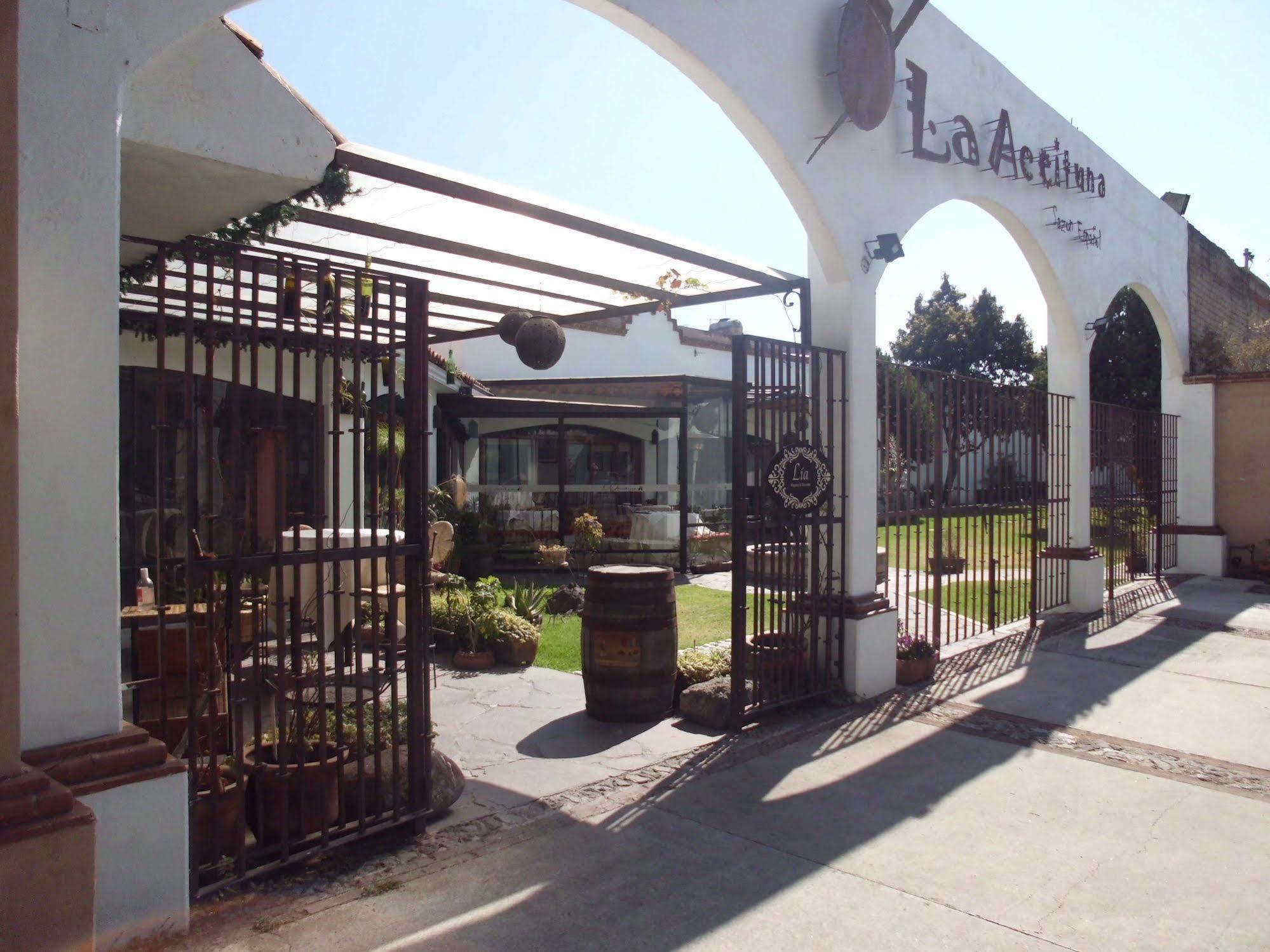 Hotel La Posada Apizaco المظهر الخارجي الصورة